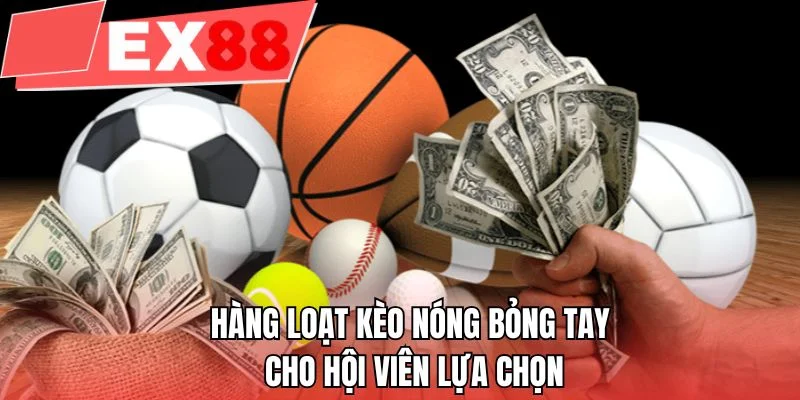 Hàng loạt kèo nóng bỏng tay cho hội viên lựa chọn