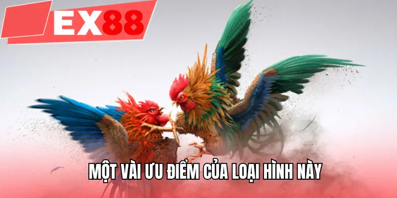 Một vài ưu điểm của loại hình này