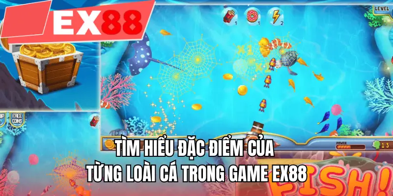 Tìm hiểu đặc điểm của từng loài cá trong game EX88